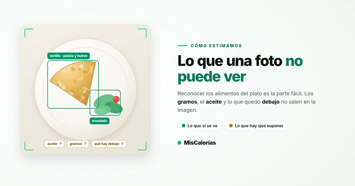 Plato visto desde arriba con etiquetas de detección sólidas sobre la tortilla y la ensalada, y etiquetas discontinuas con interrogación sobre el aceite, los gramos y lo que hay debajo