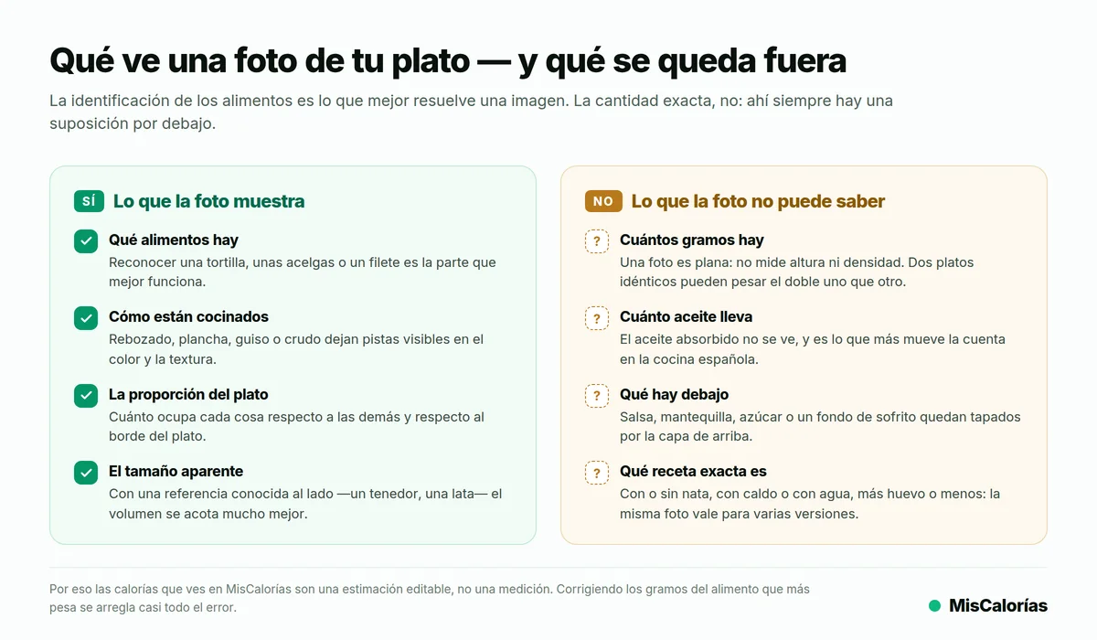 Comparativa en dos columnas: lo que la foto muestra (qué alimentos hay, cómo están cocinados, la proporción del plato, el tamaño aparente) frente a lo que no puede saber (cuántos gramos, cuánto aceite, qué hay debajo, qué receta exacta es)
