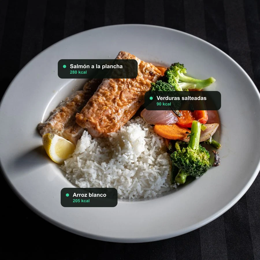 Análisis de un plato de salmón a la plancha con arroz y verduras salteadas